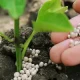 NBPT Fertilizer